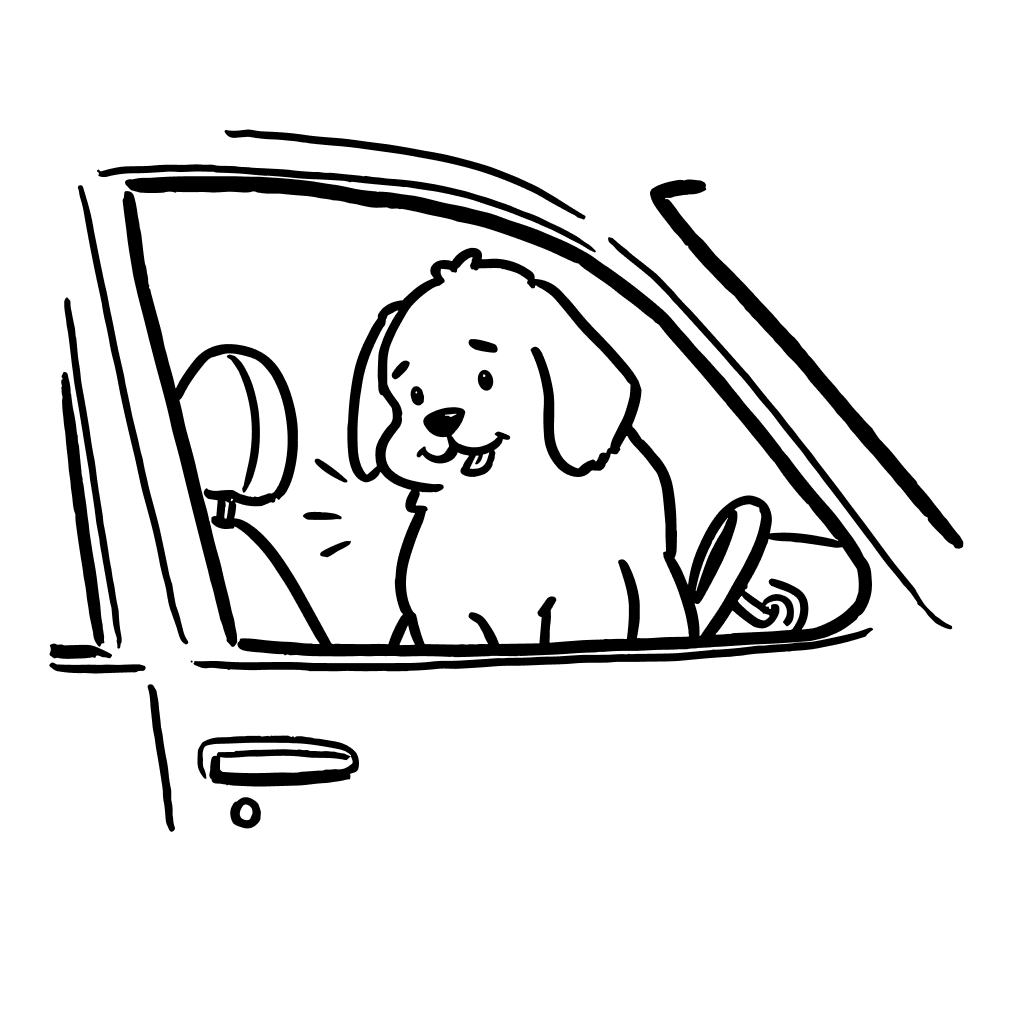 transportation